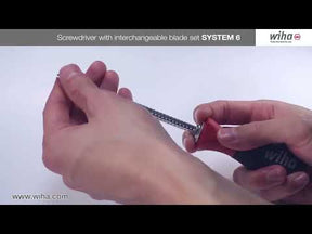 6 Piece Drive-Loc VI Security Torx Set